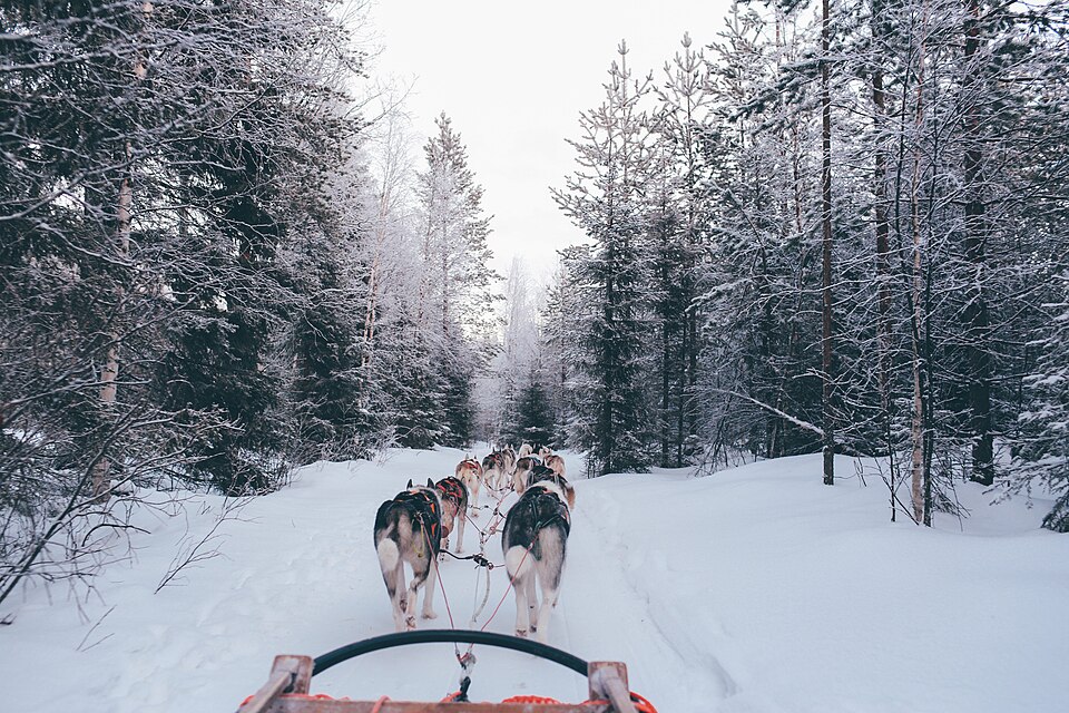 Lapland Christmas with Santa