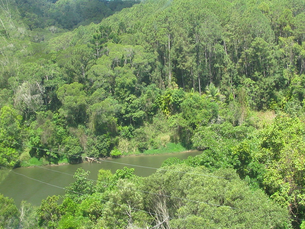 Kuranda