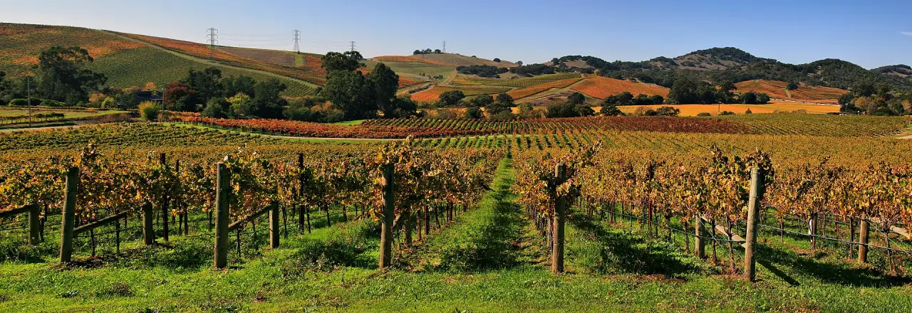 Napa Valley Estates