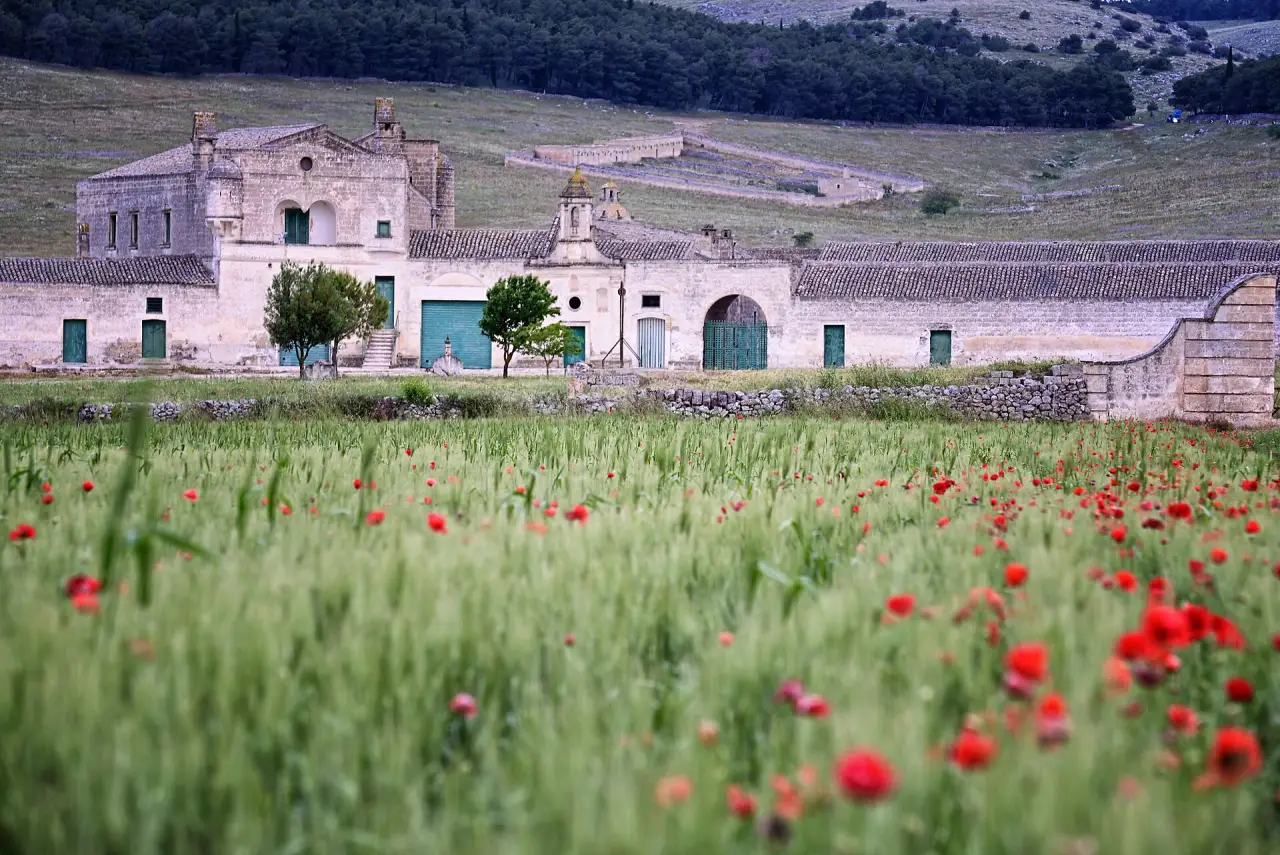 A masseria farmhouse among wildflowers, Puglia