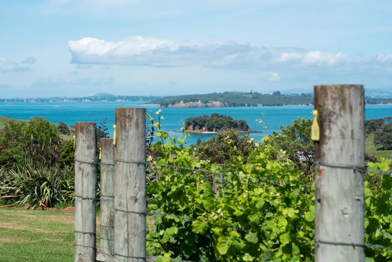 Waiheke Island, Auckland