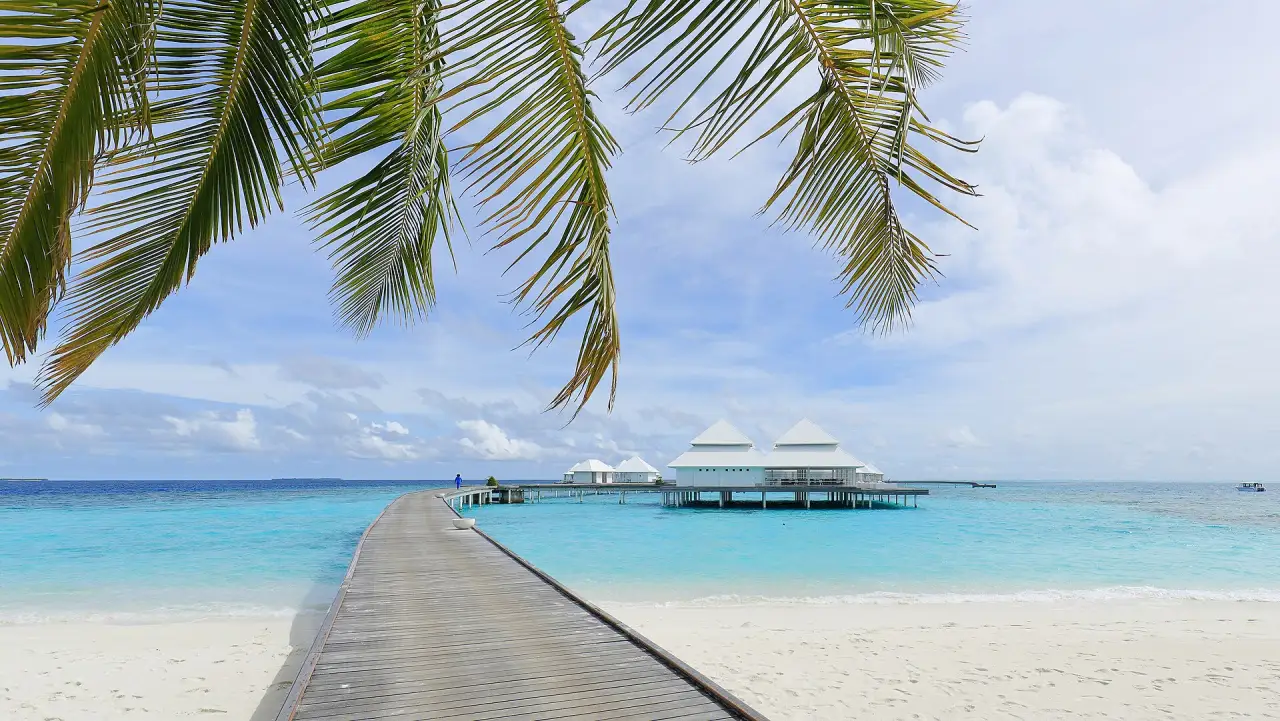 Palms and a jetty over the lagoon from a Maldives beach Palms and a jetty over the lagoon from a Maldives beach