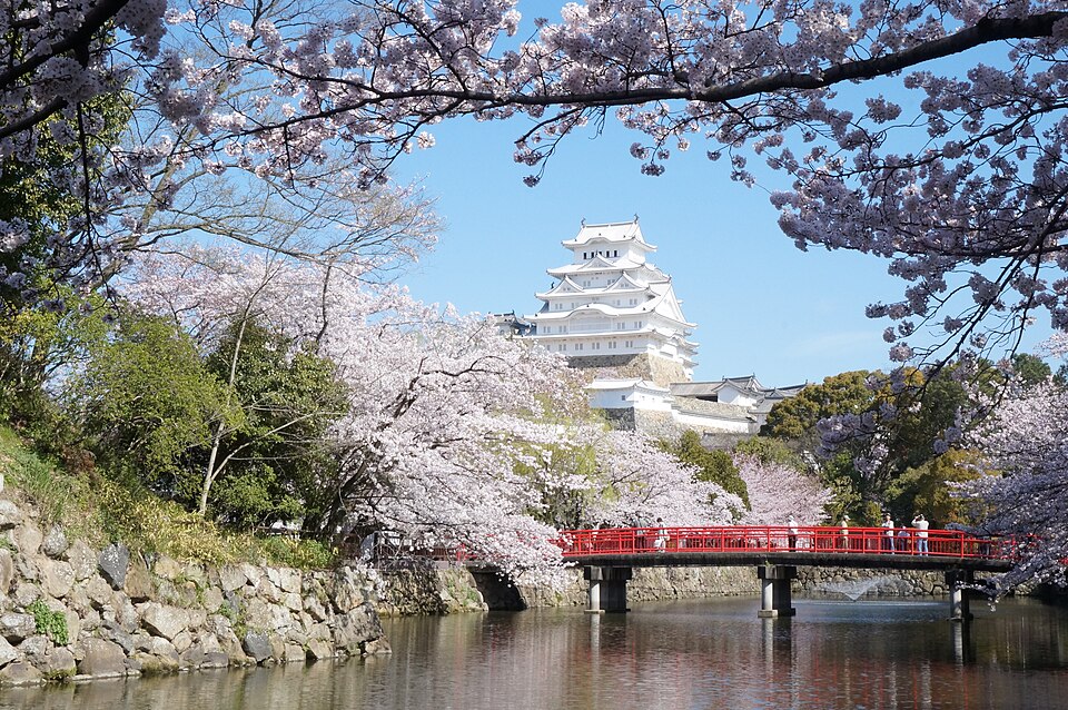 Japan Cherry Blossom & Culture