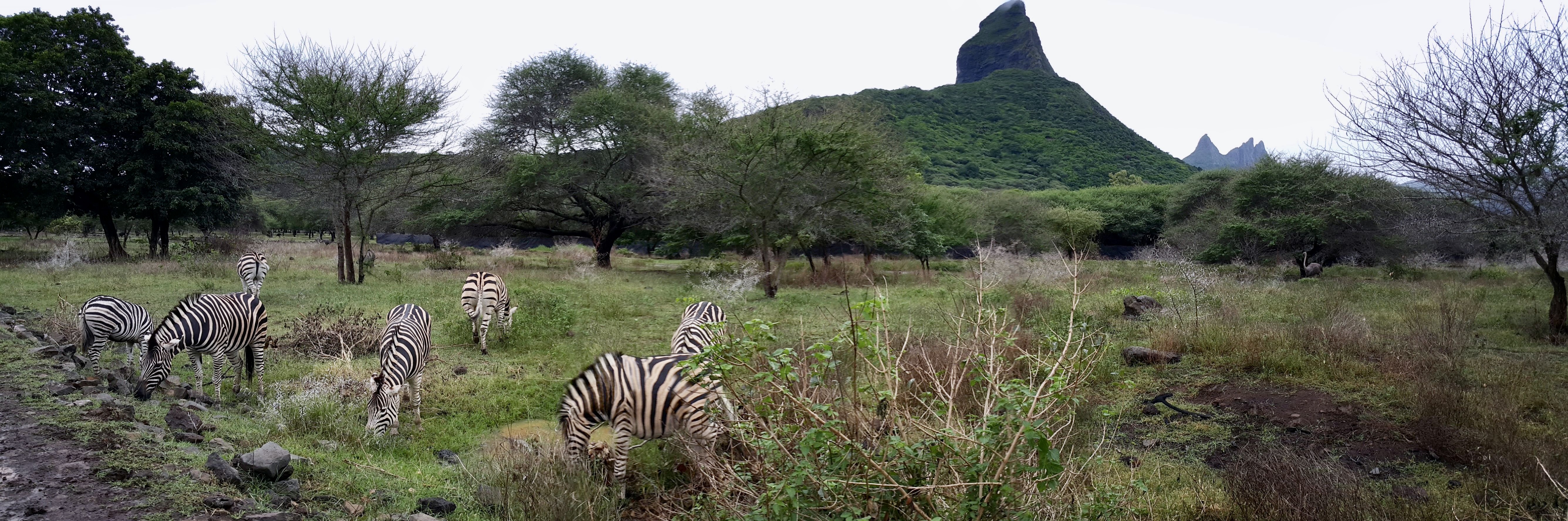 Casela Safari & Adventure