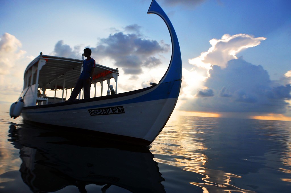 Night Dive with Reef Mantas, Maldives — detail