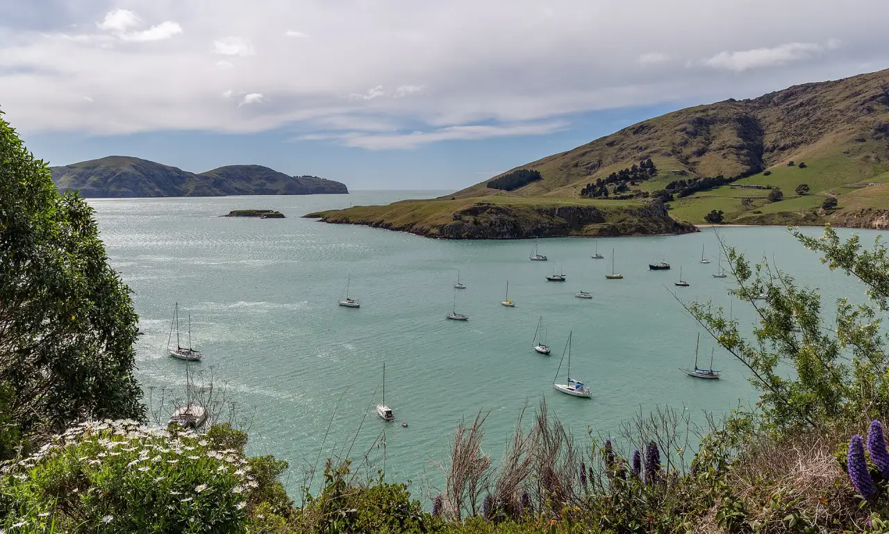 Islands, Dolphins and the Hole in the Rock, Bay of Islands