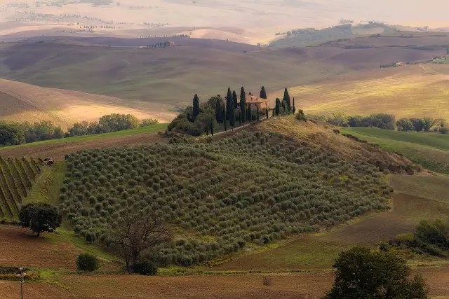 Tuscany Vineyard Celebration