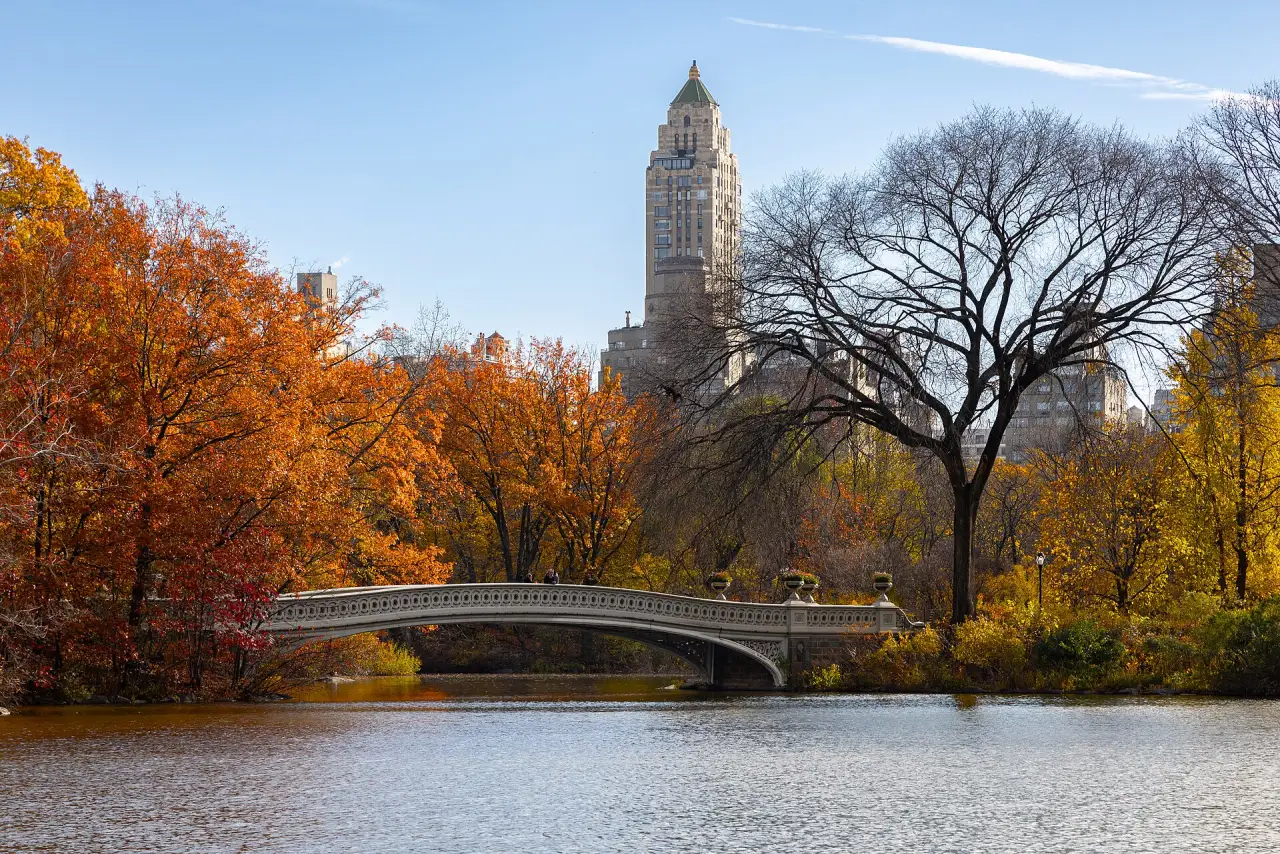 Bow Bridge in Central Park in autumn