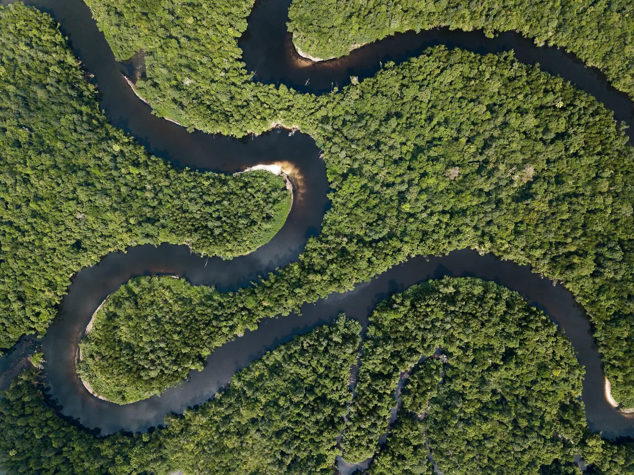 Rivers winding through the Cardamom Mountains rainforest