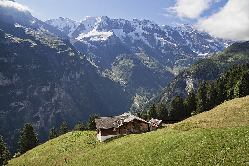 Swiss Meadows & Parisian Light