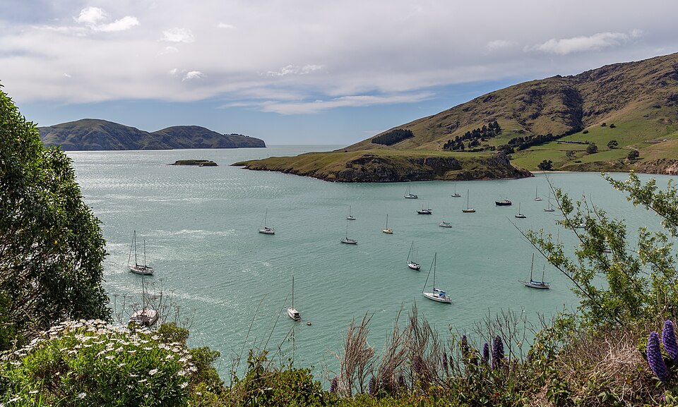 Bay of Islands & Coromandel