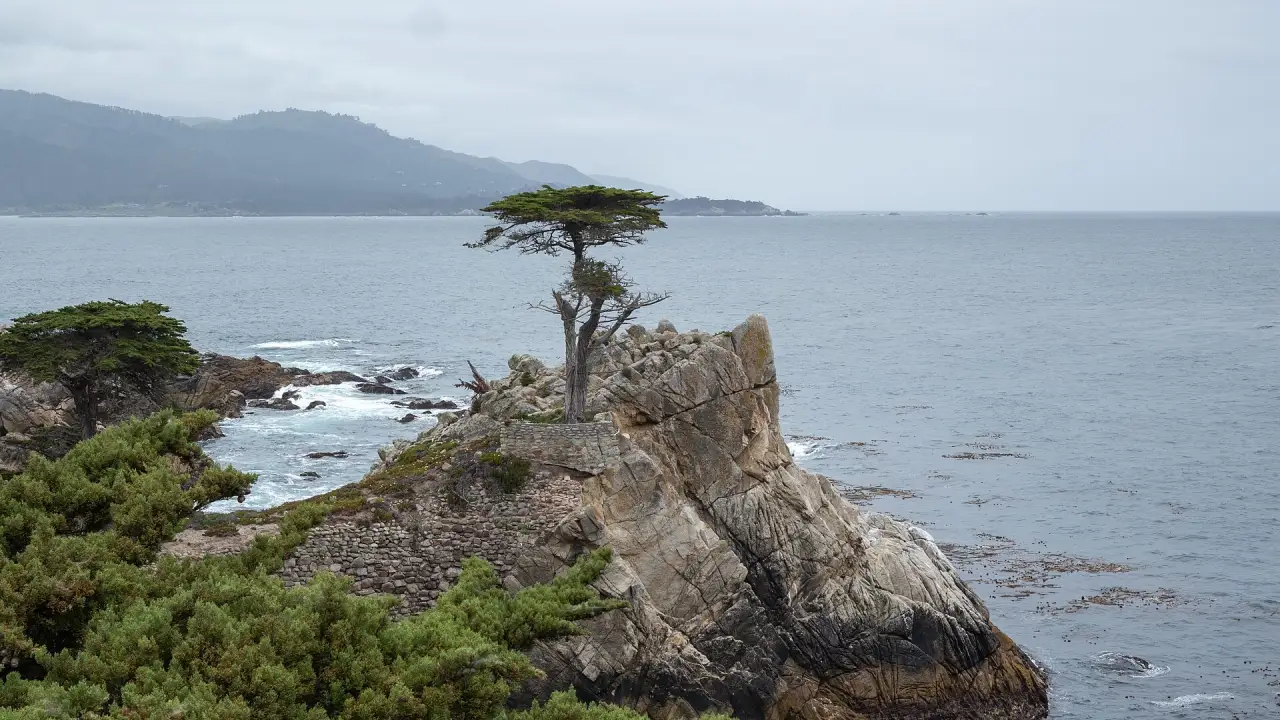 The Lone Cypress on 17-Mile Drive, Pebble Beach