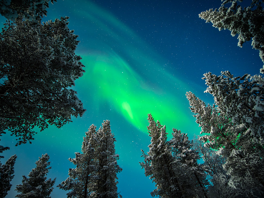 Northern Lights Aurora Chase in Finnish Lapland — detail