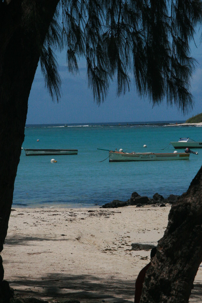 Mauritius — detail