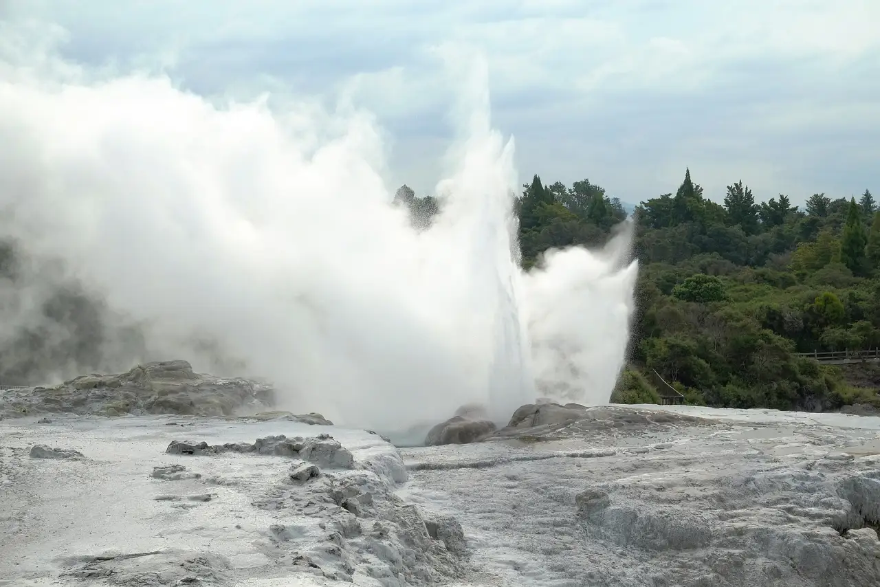 Pōhutu geyser erupting at Te Puia, Rotorua