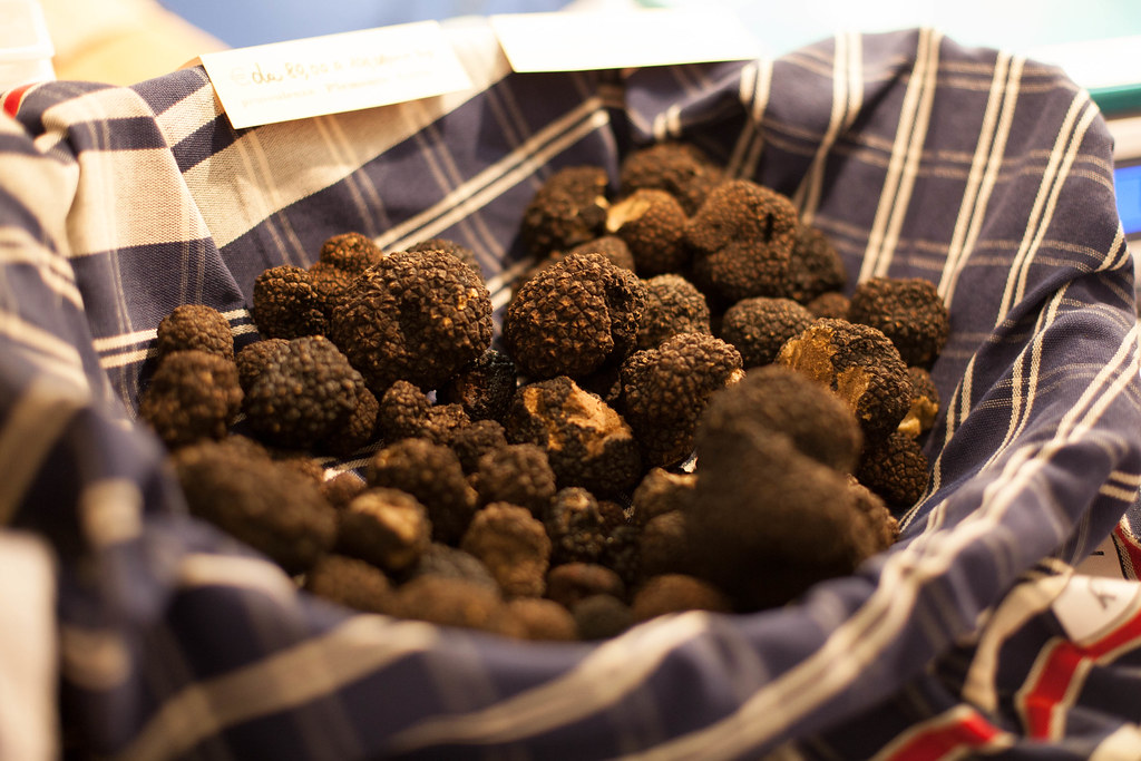 White Truffle Hunt and Farmhouse Lunch in Piedmont — detail