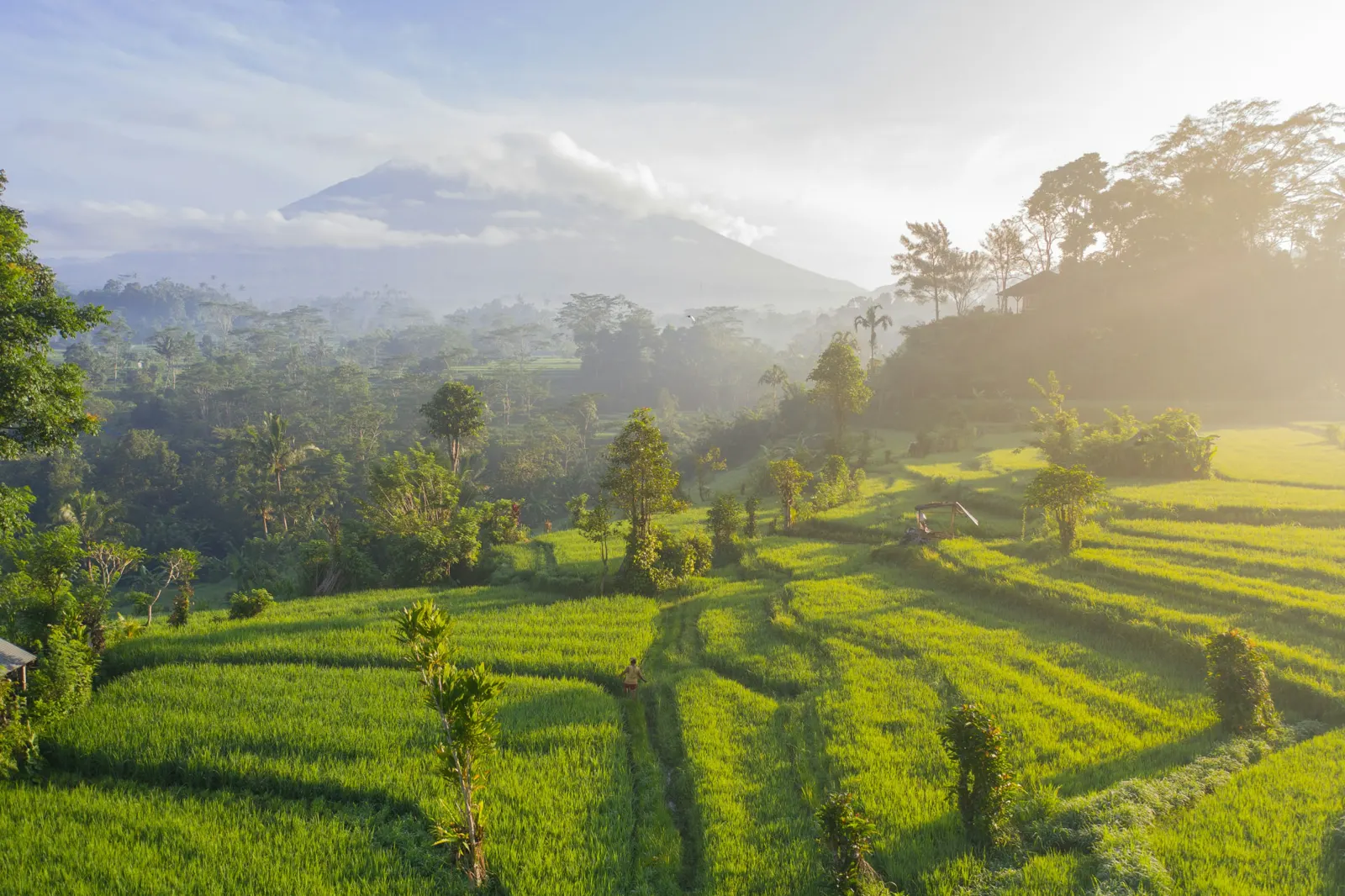 Bali, Hidden Ubud & Sacred Coast