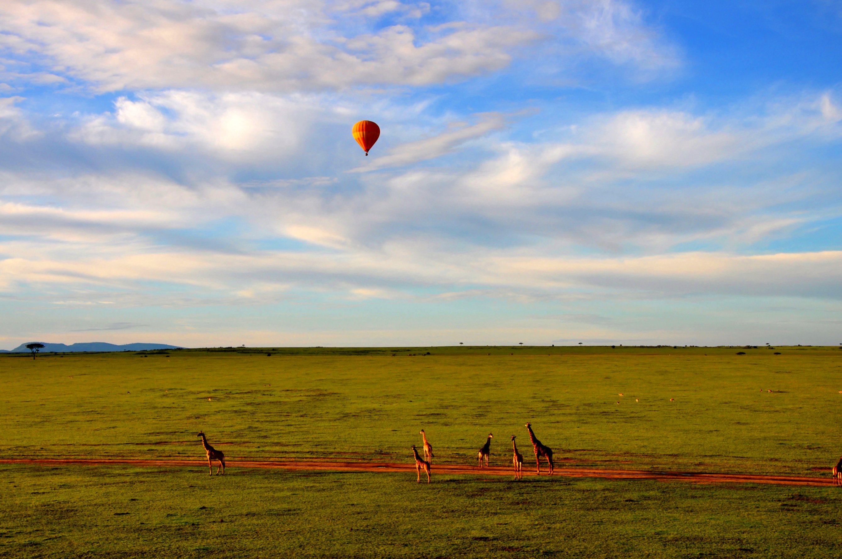 Kenya safari