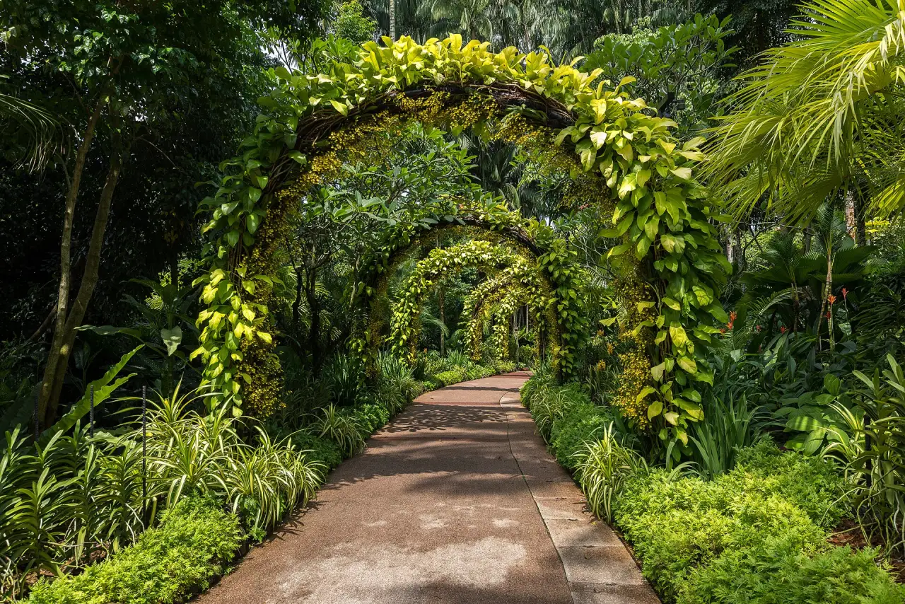 Orchid arch in the National Orchid Garden, Singapore Botanic Gardens
