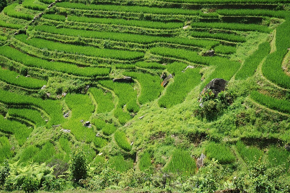 Sapa Terraces & Northern Highlands