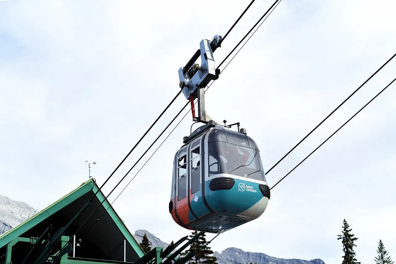 Banff Gondola, Hot Springs and Wildlife