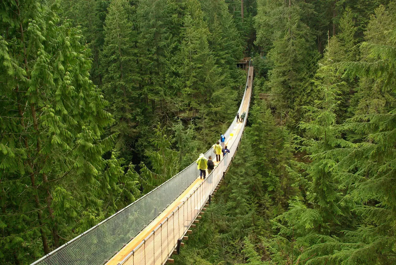 Capilano Suspension Bridge over the rainforest