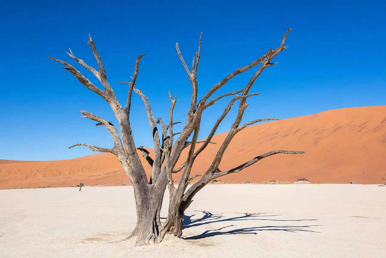 Namibia, Sossusvlei & Skeleton Coast