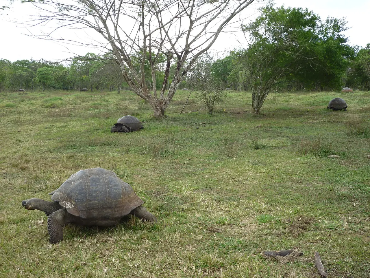 Galápagos Islands Expedition