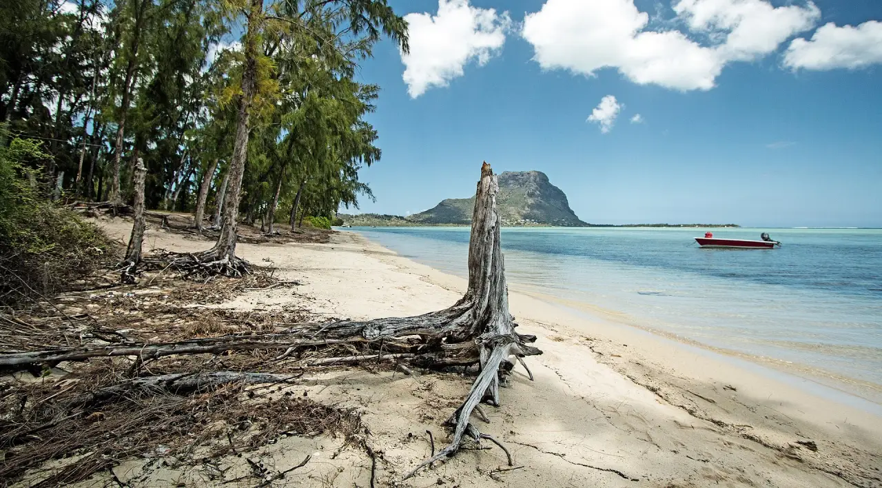 Le Morne Brabant seen from Île aux Bénitiers Le Morne Brabant seen from Île aux Bénitiers