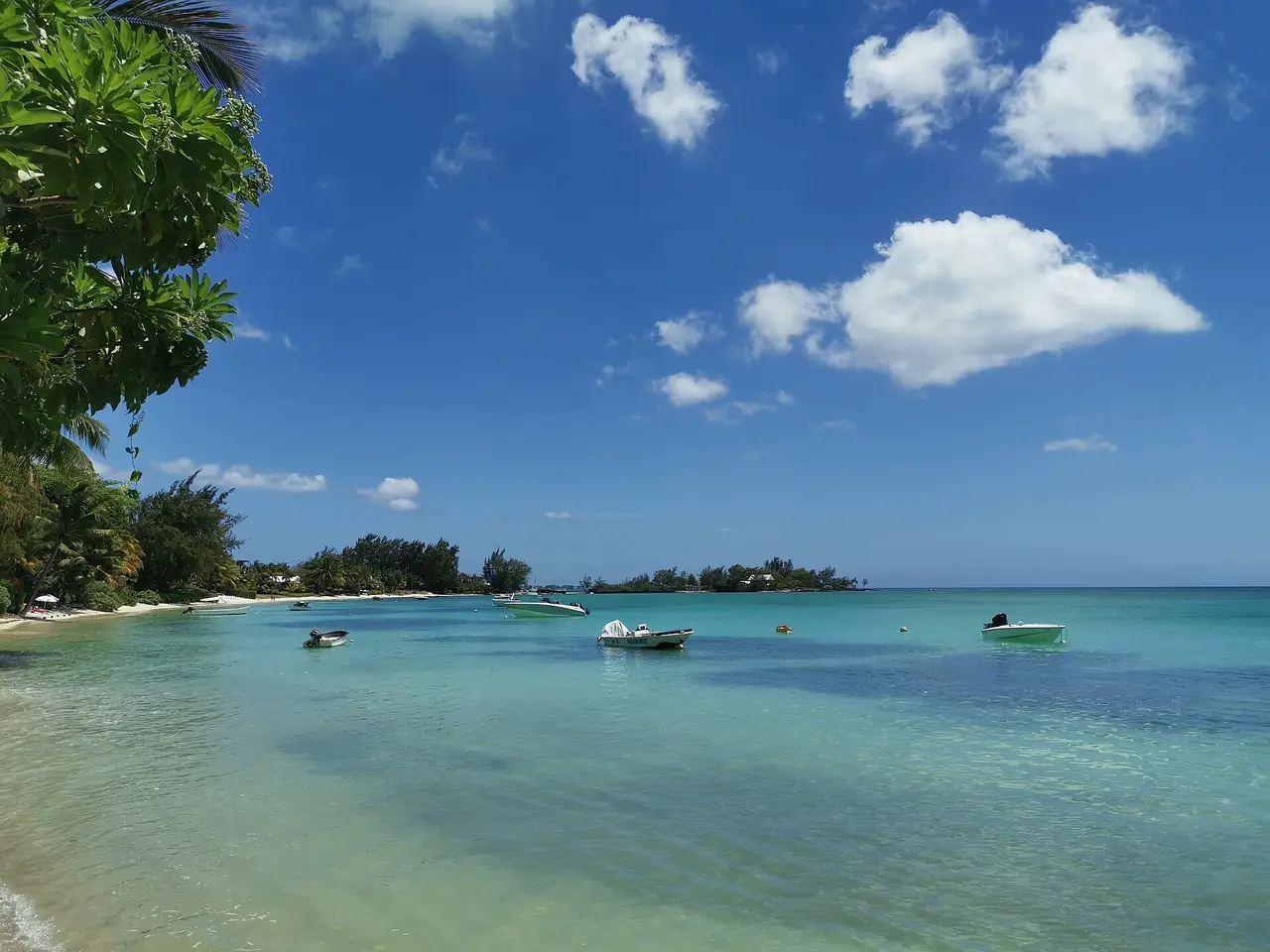 North Coast Honeymoon