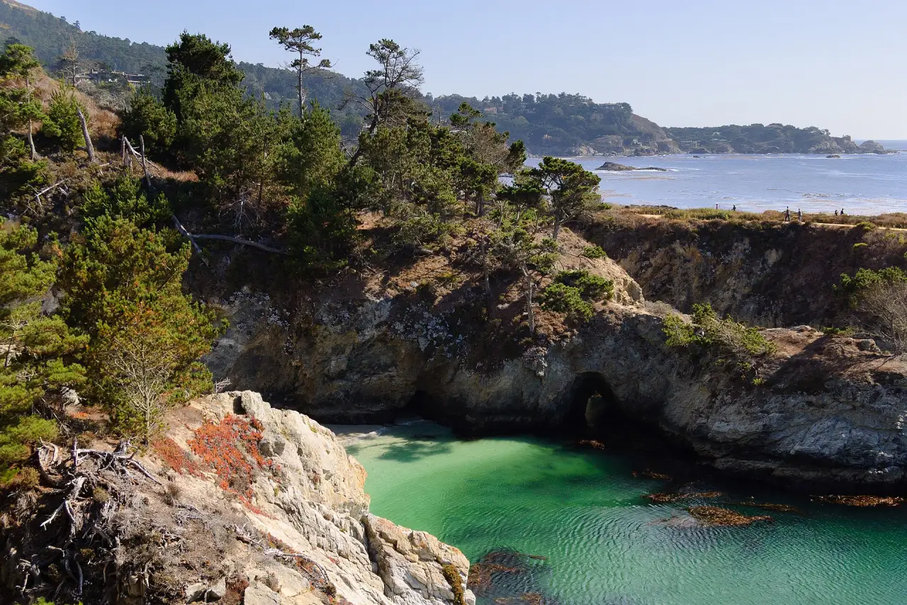 Redwoods, Point Lobos and Carmel, Big Sur